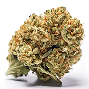 Strawberry Gelato Autoflower